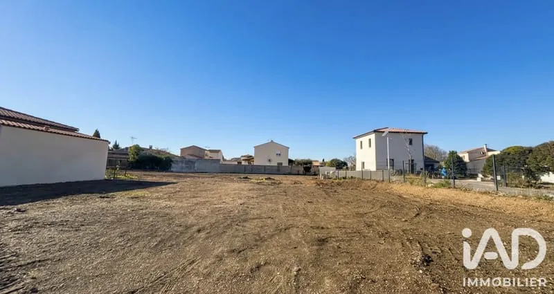 Terrain