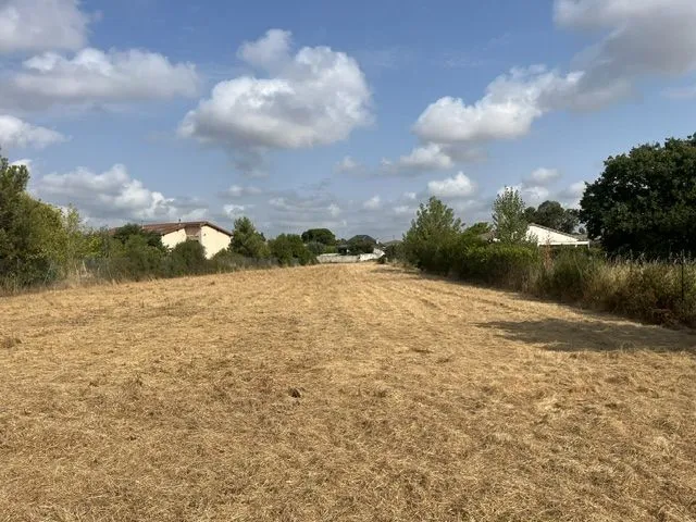 Terrain