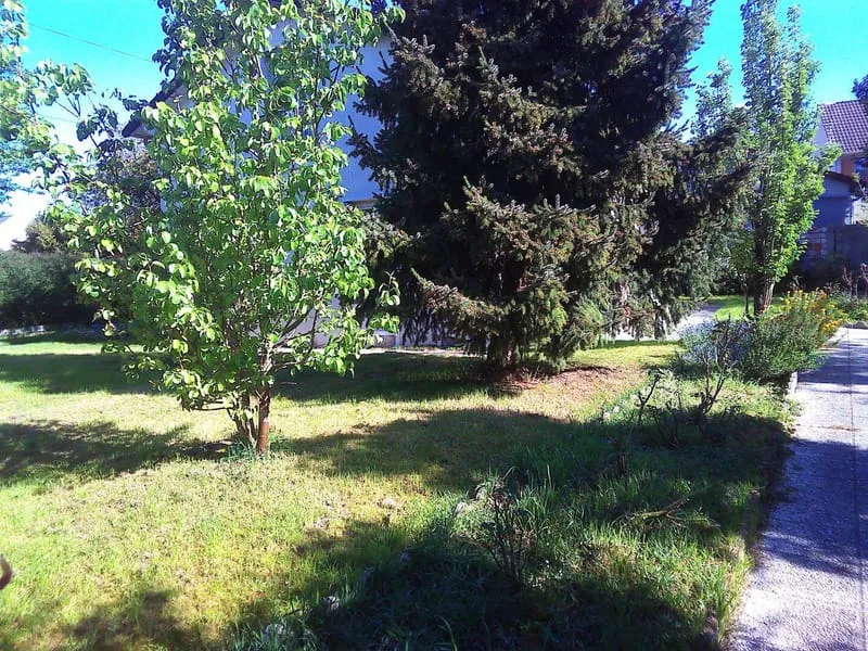 Terrain