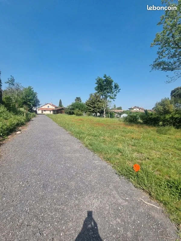 Terrain