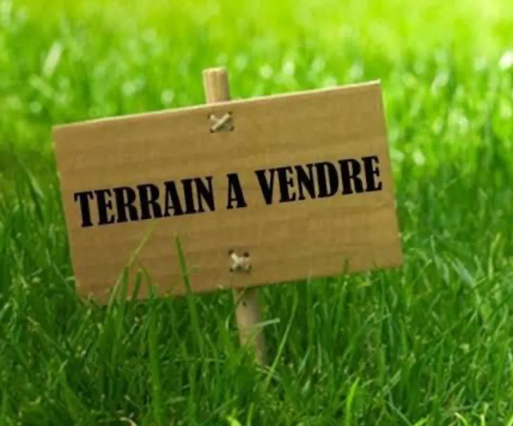 Terrain