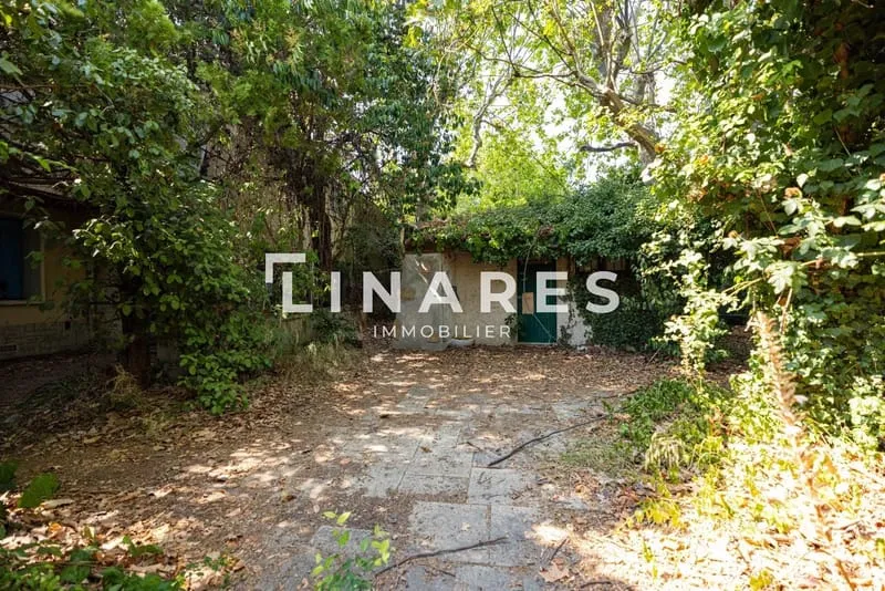 Terrain