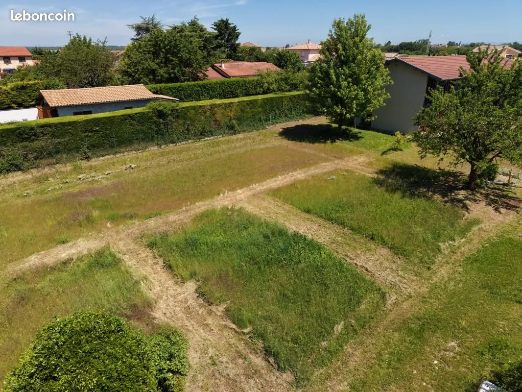Terrain