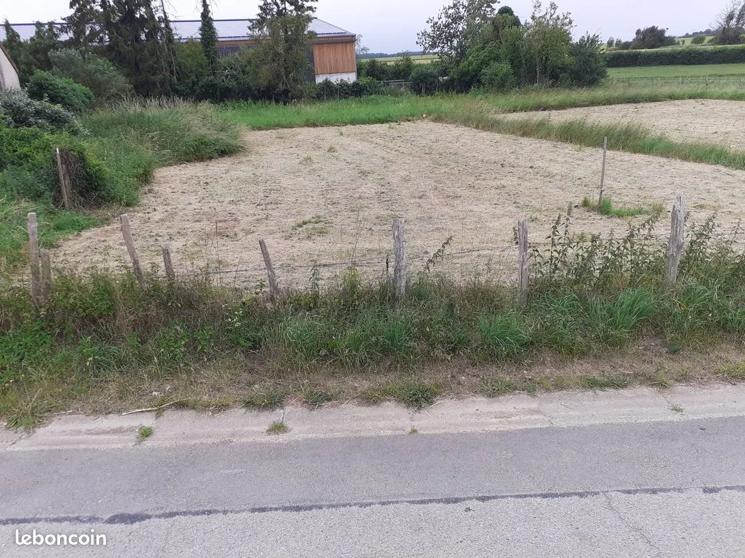 Terrain