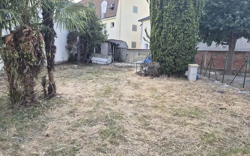 Terrain