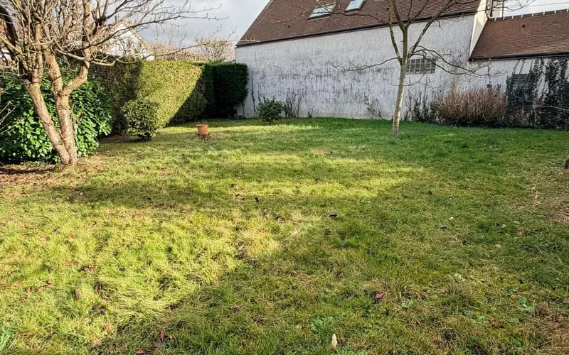 Terrain