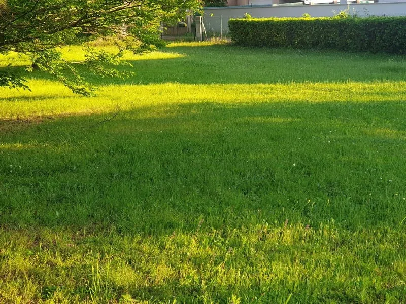 Terrain