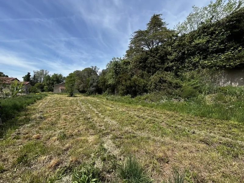 Terrain