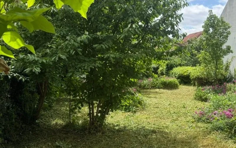 Terrain