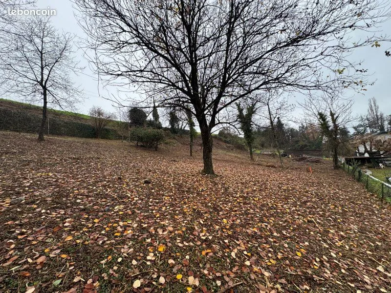 Terrain