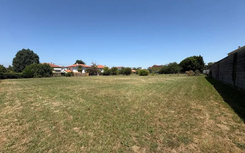 Terrain
