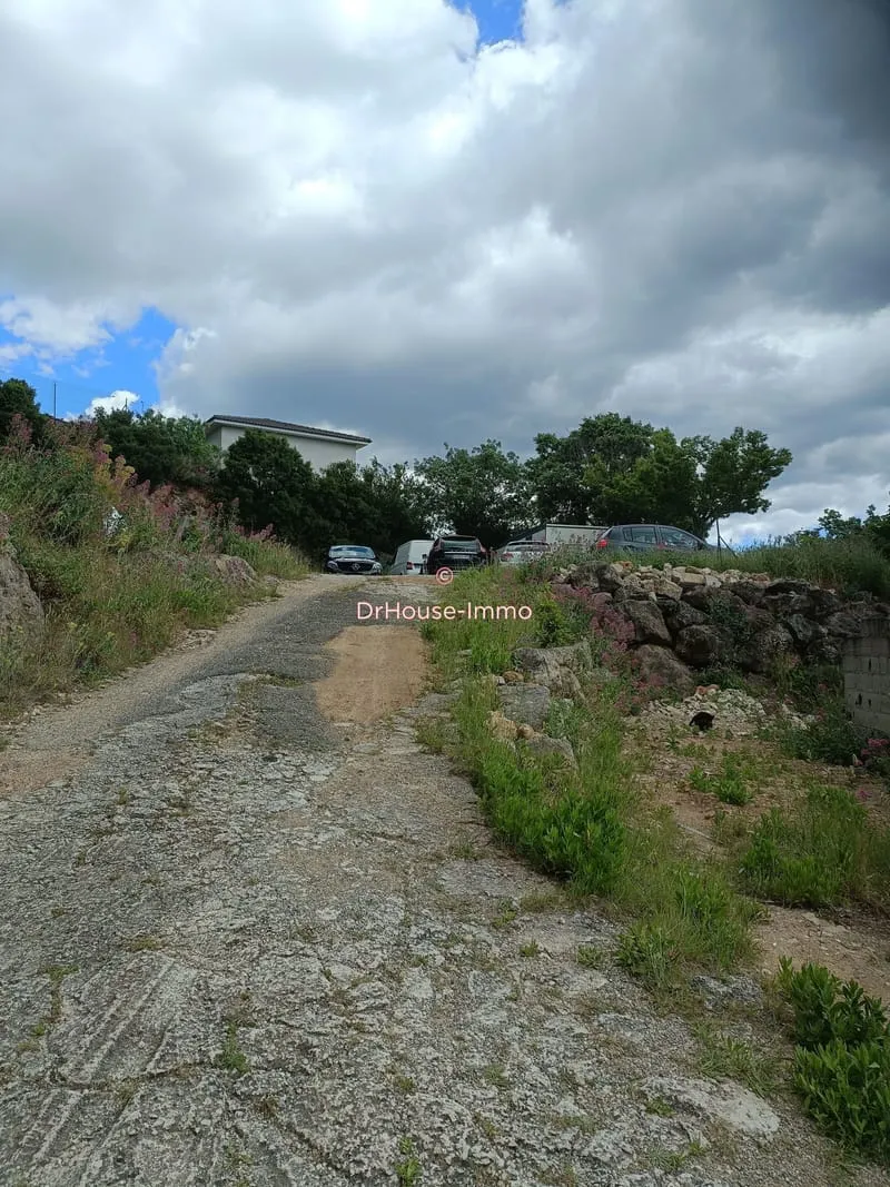 Terrain