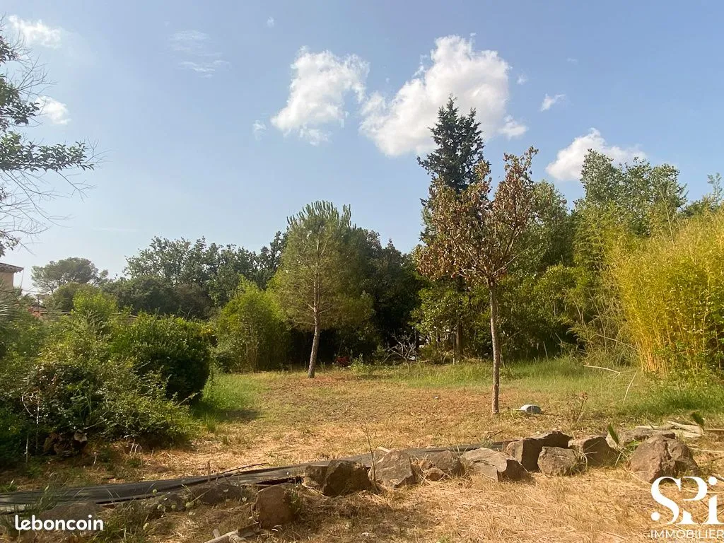 Terrain