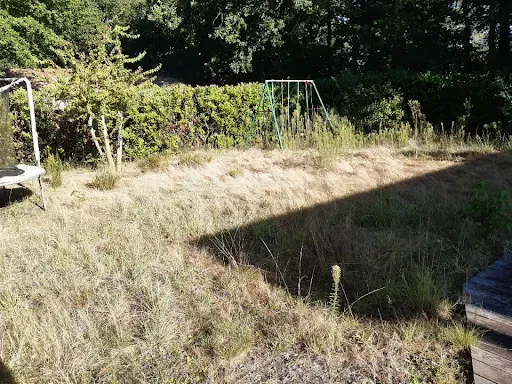 Terrain