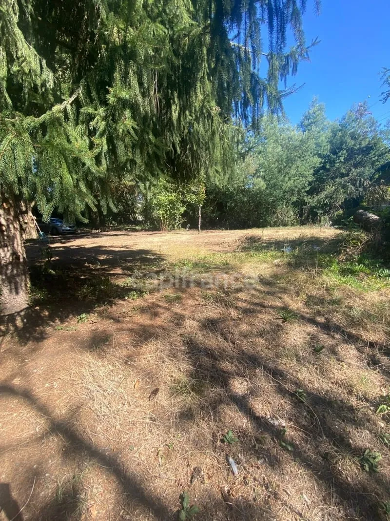 Terrain