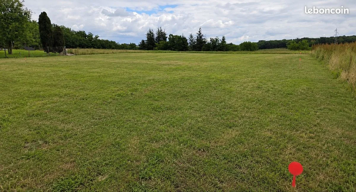 Terrain