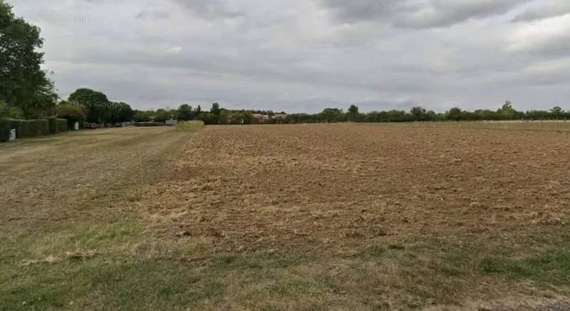 Terrain