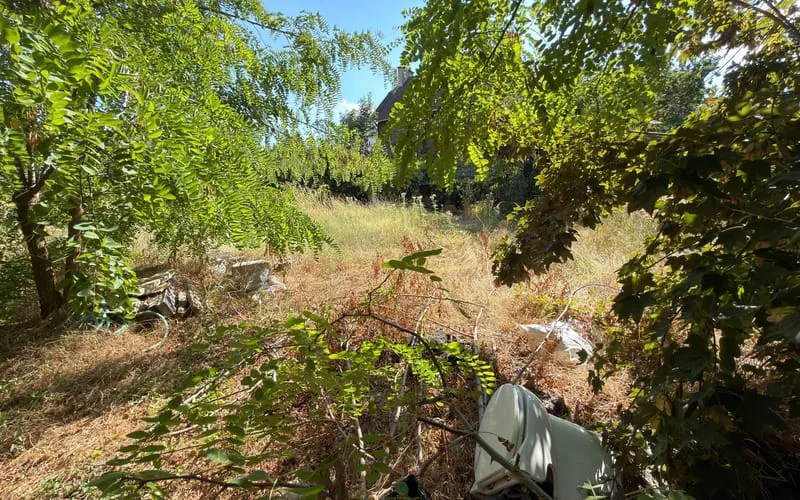 Terrain