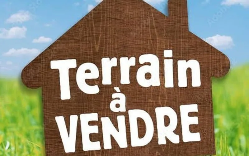 Terrain