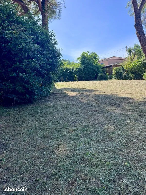 Terrain