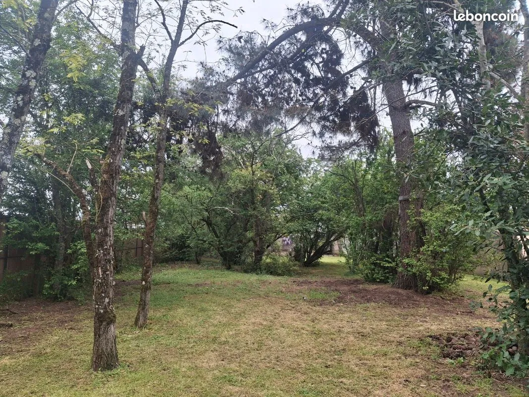 Terrain