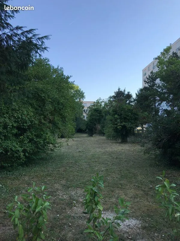 Terrain