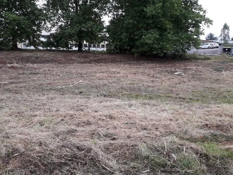Terrain