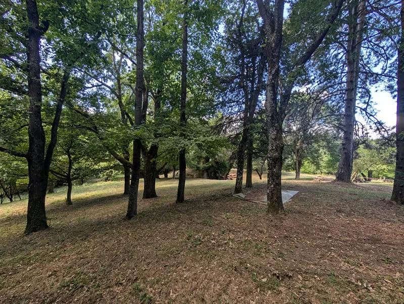 Terrain