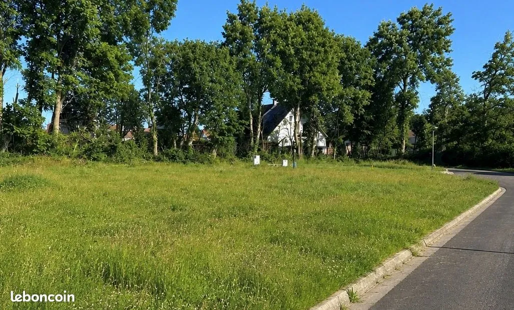 Terrain