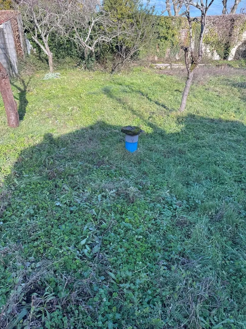 Terrain