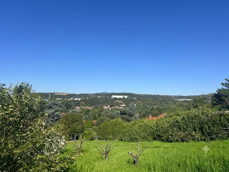 Terrain