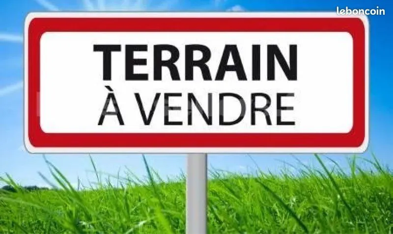 Terrain