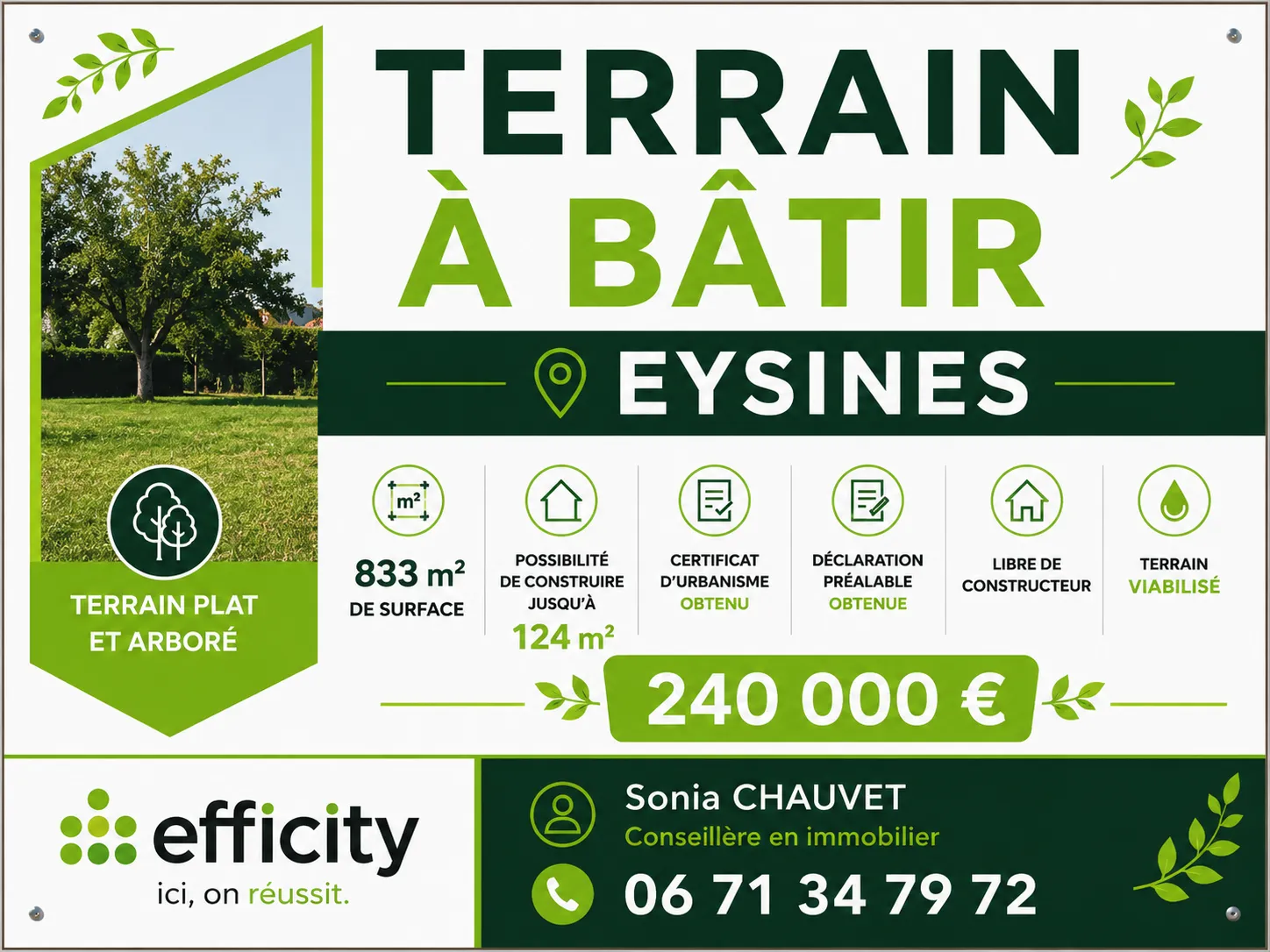 Terrain