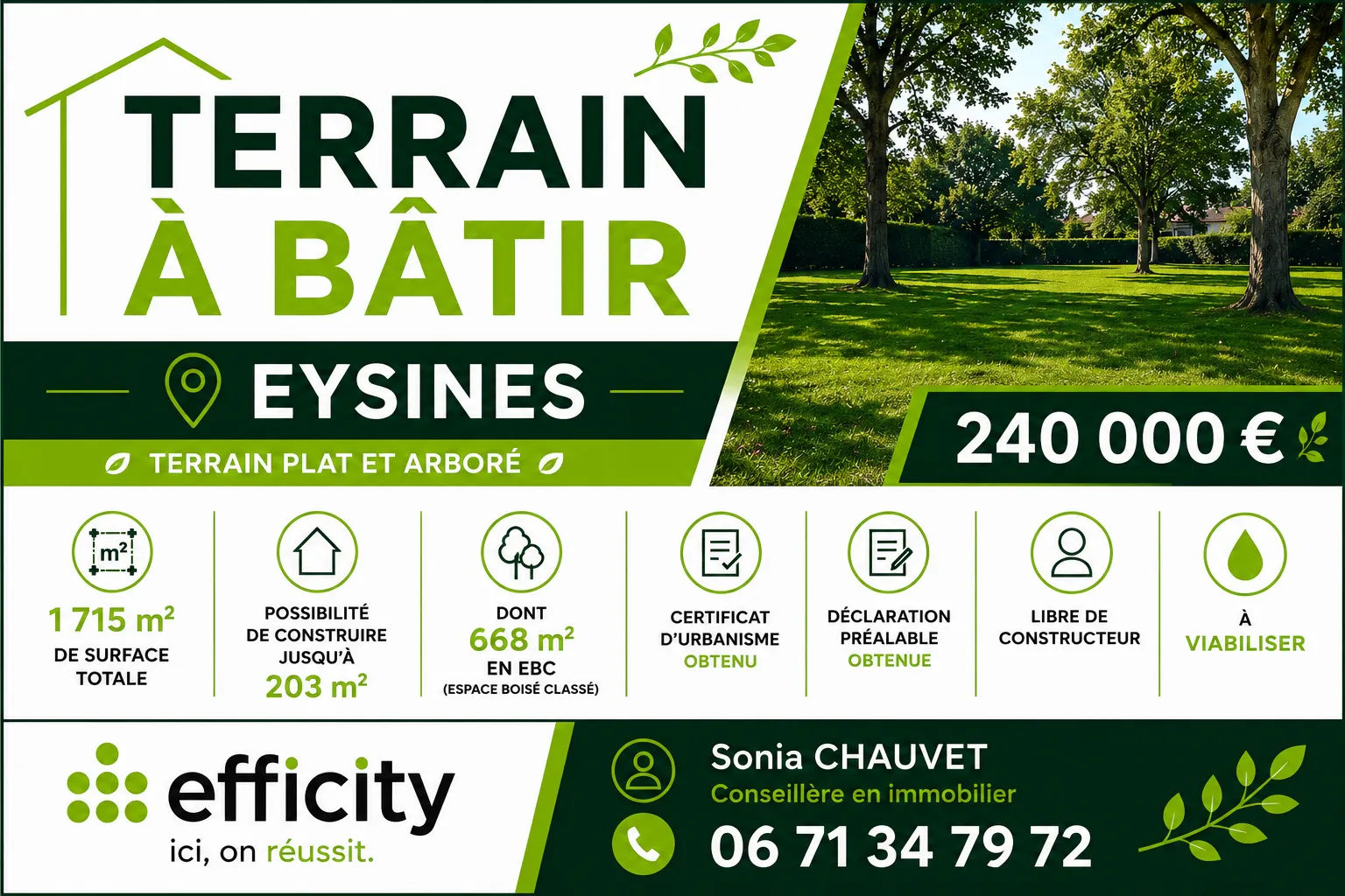 Terrain