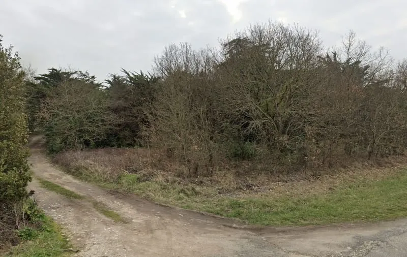 Terrain