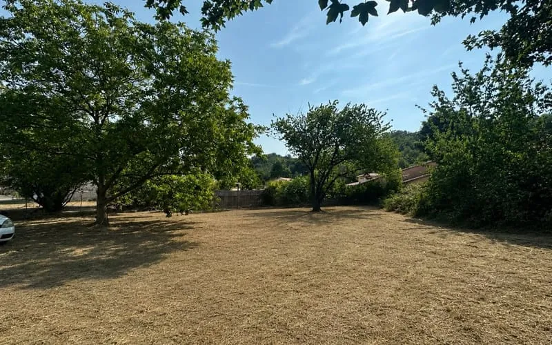 Terrain