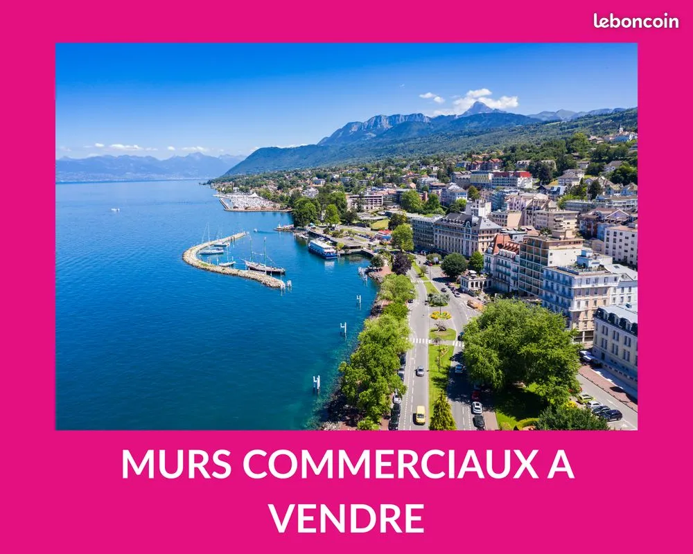 Local d'activité