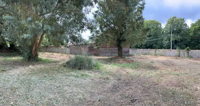 Terrain