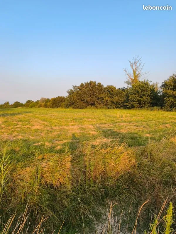 Terrain