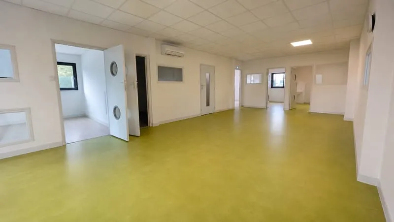 Local d'activité