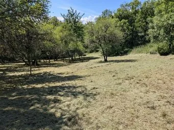 Terrain