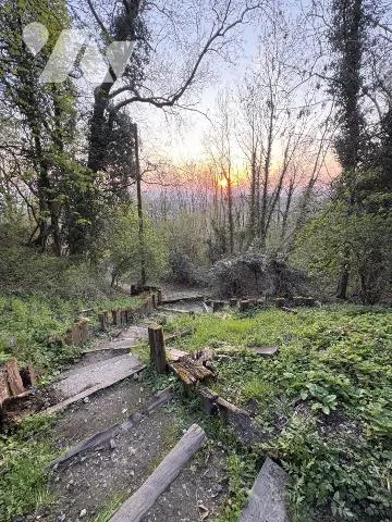 Terrain