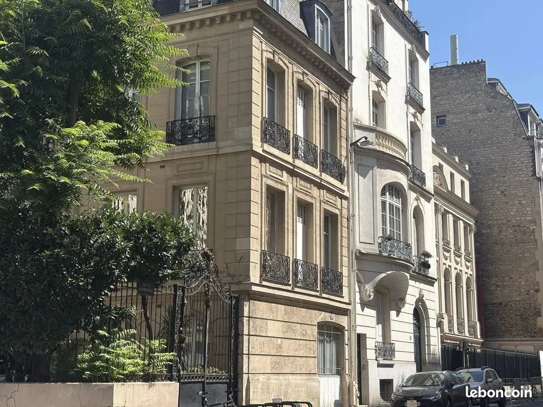 Local d'activité
