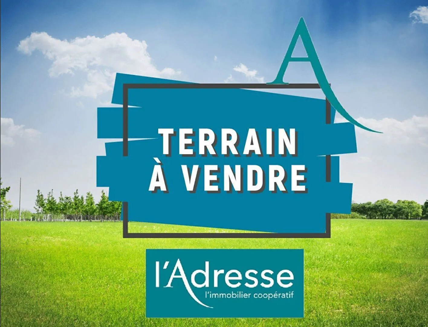 Terrain