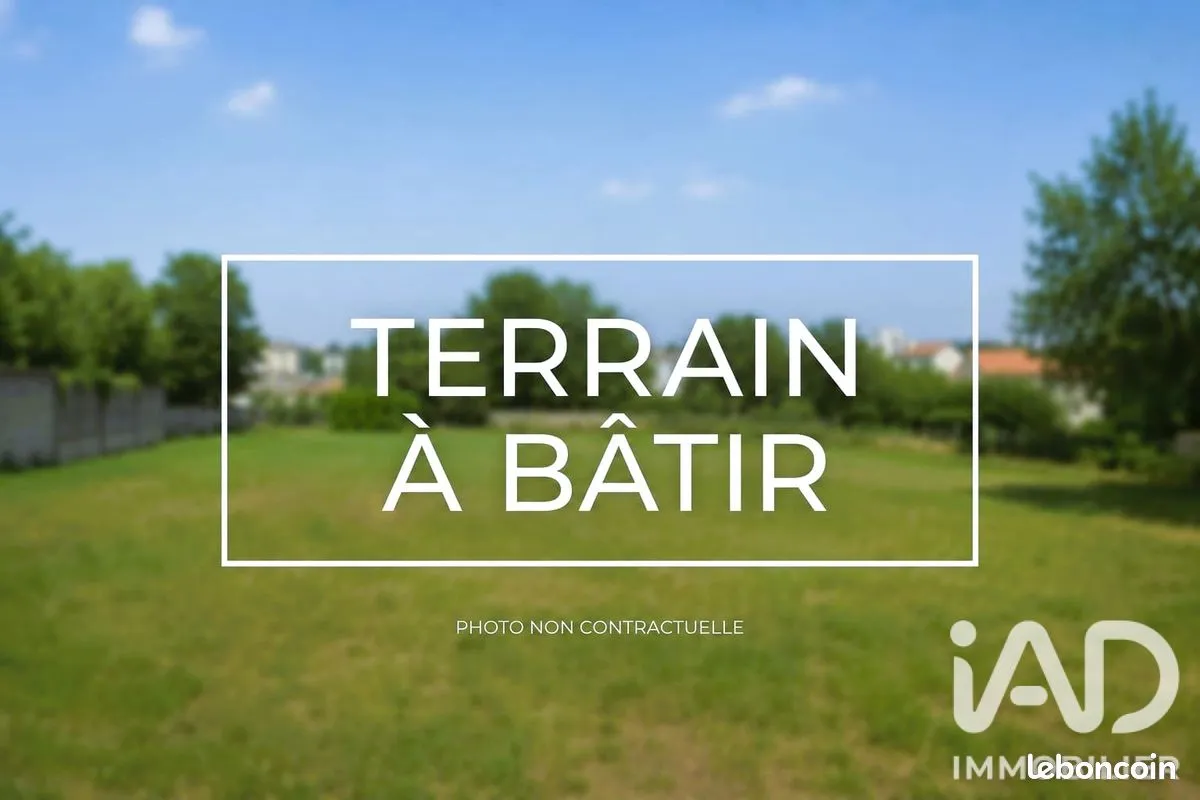 Terrain