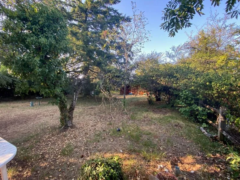 Terrain