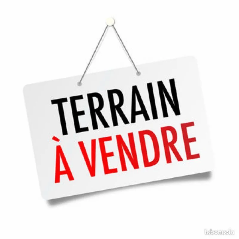 Terrain