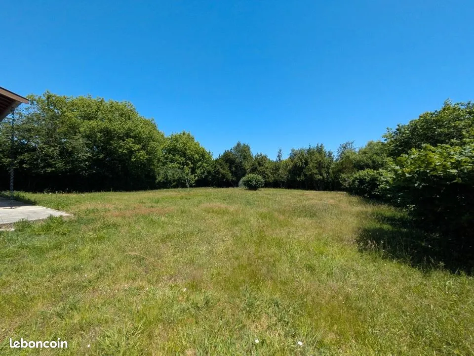 Terrain