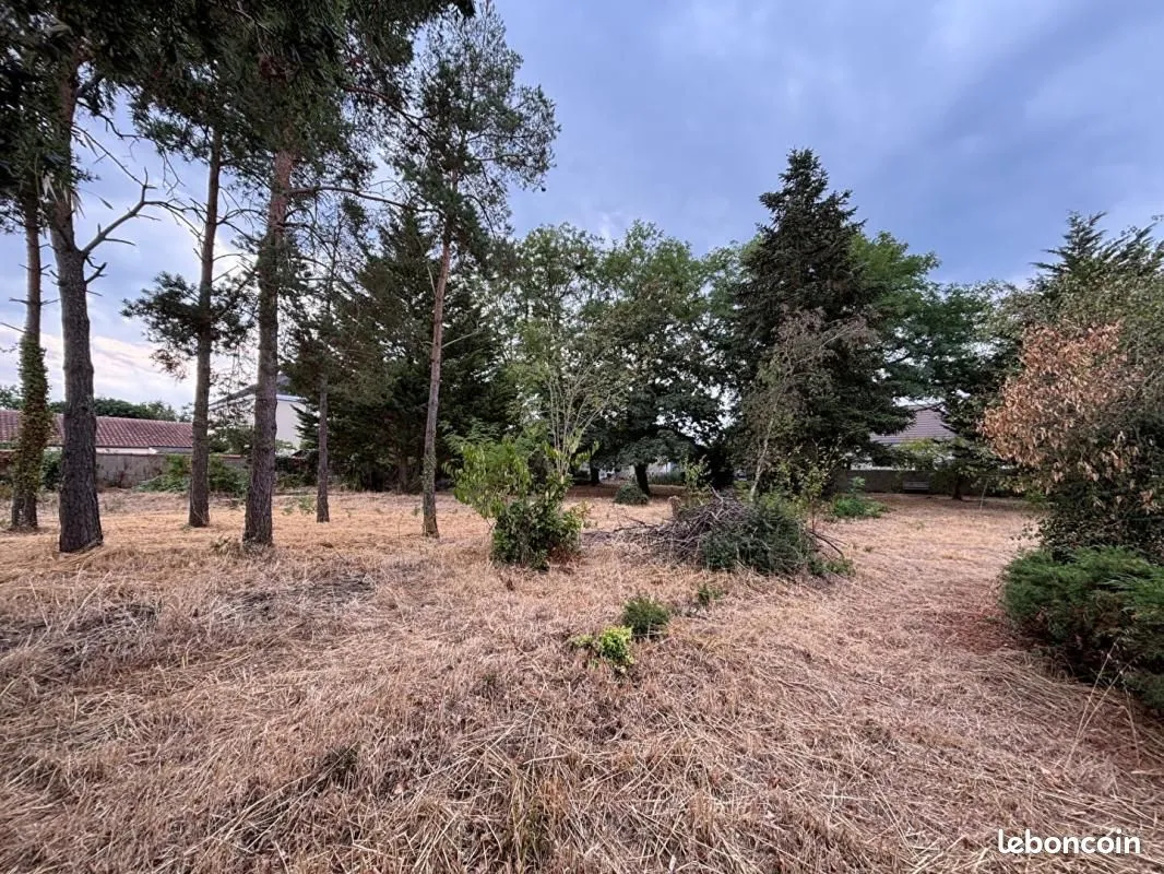 Terrain