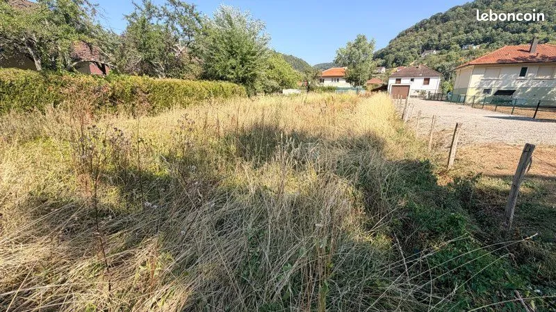Terrain